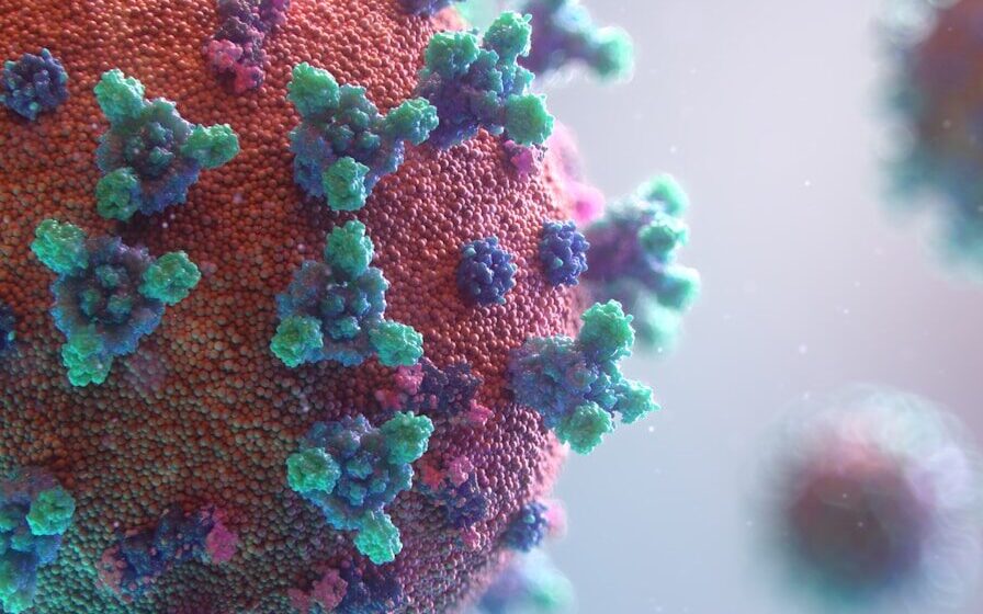 Visualization of the coronavirus causing COVID-19